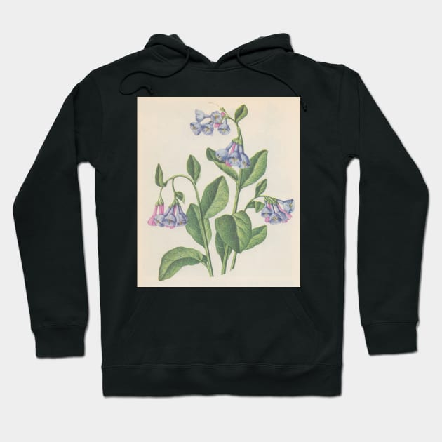 bluebell Hoodie by saoirse casey